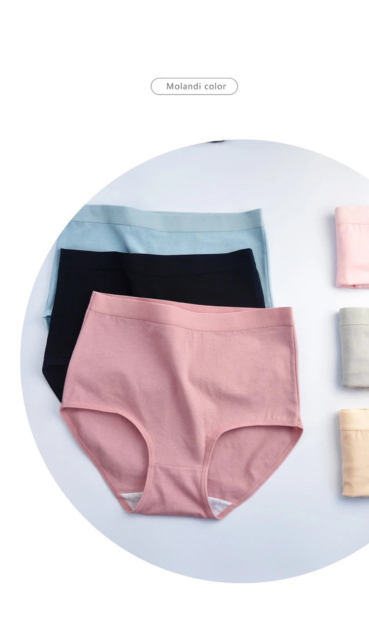 Pack 3 Bragas Algodón – Talle Alto | Tallas Grandes | Ropa Interior Femenina Cómoda y Transpirable