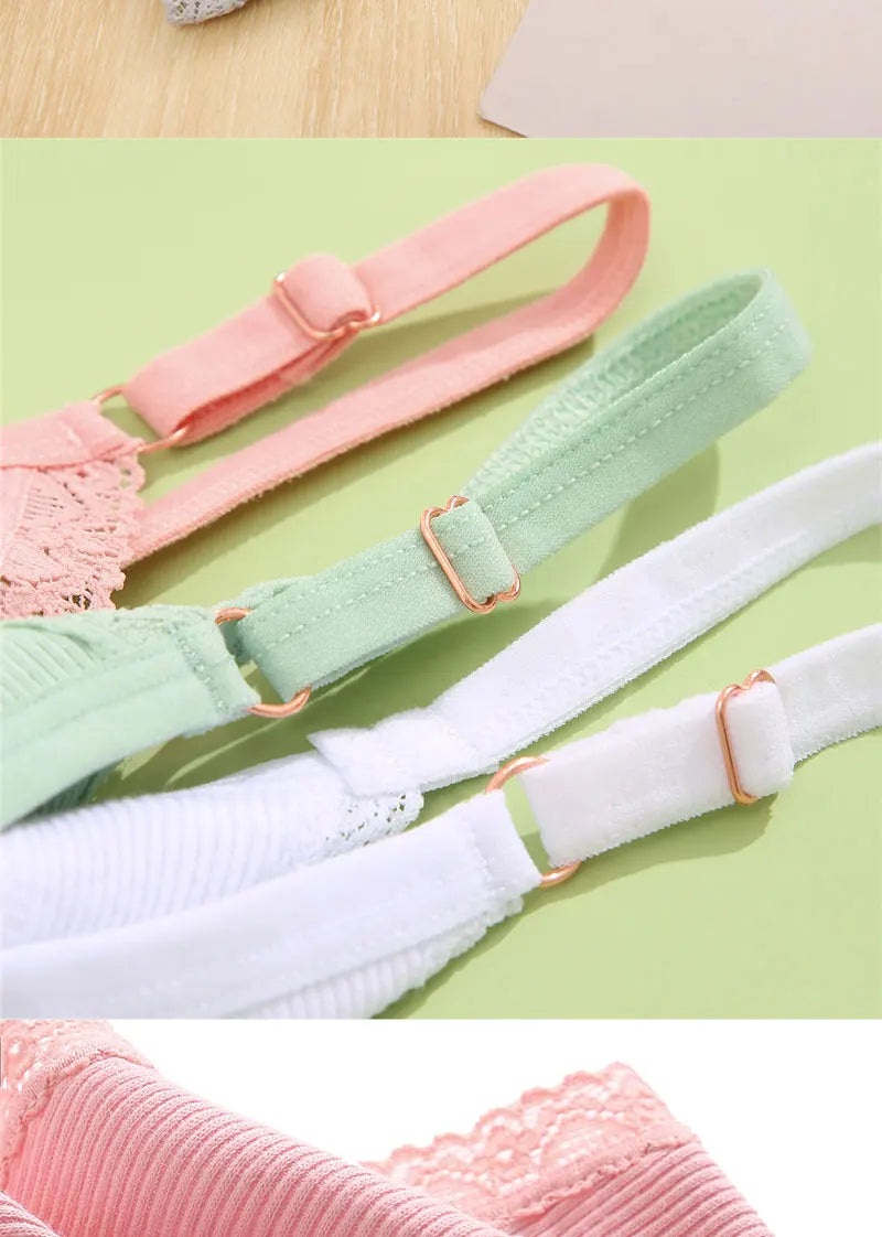 Pack de 5 tangas de algodón para mujer – estilo básico y cómodo