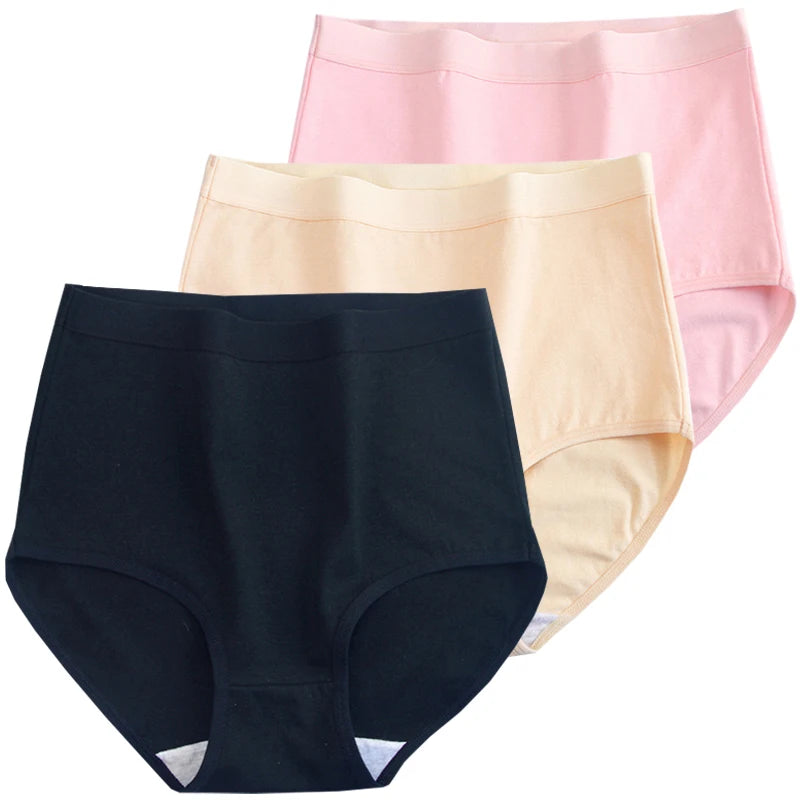 Pack 3 Bragas Algodón – Talle Alto | Tallas Grandes | Ropa Interior Femenina Cómoda y Transpirable
