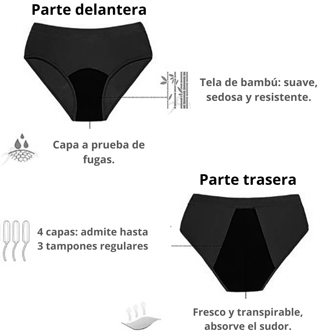 Pack de 3 braguitas menstruales | Sin costuras, transpirables y en tallas grandes