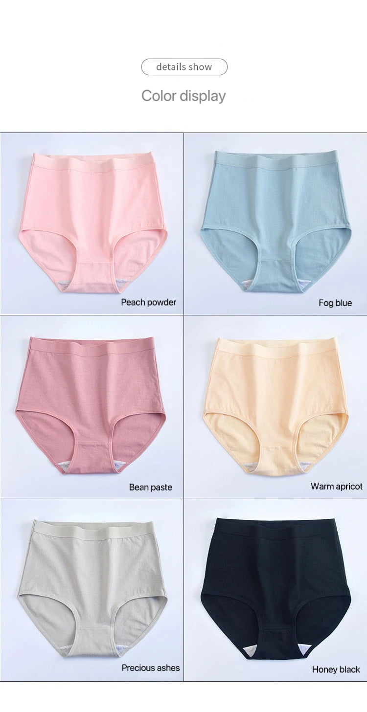 Pack 3 Bragas Algodón – Talle Alto | Tallas Grandes | Ropa Interior Femenina Cómoda y Transpirable