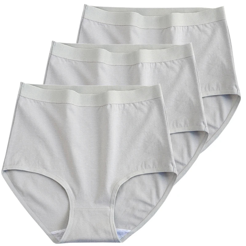 Pack 3 Bragas Algodón – Talle Alto | Tallas Grandes | Ropa Interior Femenina Cómoda y Transpirable
