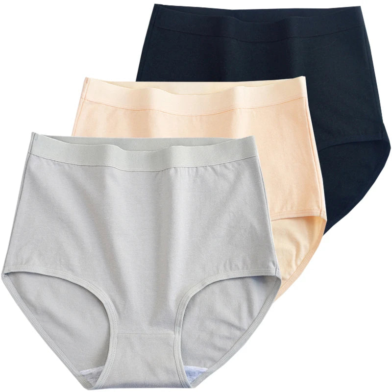 Pack 3 Bragas Algodón – Talle Alto | Tallas Grandes | Ropa Interior Femenina Cómoda y Transpirable