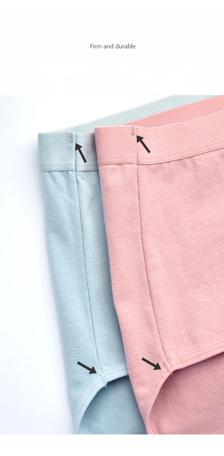 Pack 3 Bragas Algodón – Talle Alto | Tallas Grandes | Ropa Interior Femenina Cómoda y Transpirable