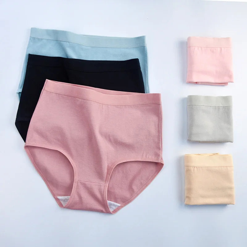 Pack 3 Bragas Algodón – Talle Alto | Tallas Grandes | Ropa Interior Femenina Cómoda y Transpirable